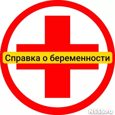 Купить справку о беременности в Александрове, официально